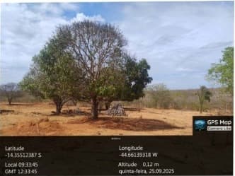 Terreno em leilão em Cocos - BA — LOTE 001 TERRAS 90ha - COCOS/BA