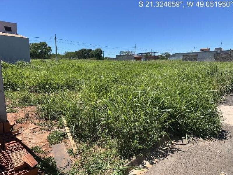 Terreno em leilão em Itajobi - SP — LOTE 501 TERRENO - ITAJOBI