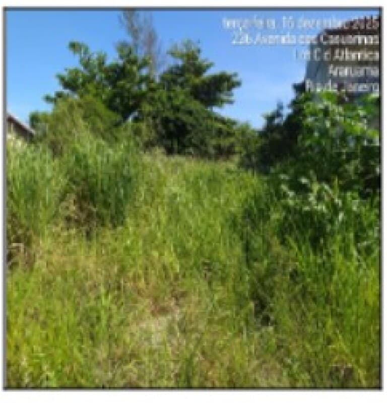 Terreno em leilão em Araruama - RJ, bairro Pernambuca (praia Seca) — LOTE 255 TERRENO - ARARUAMA