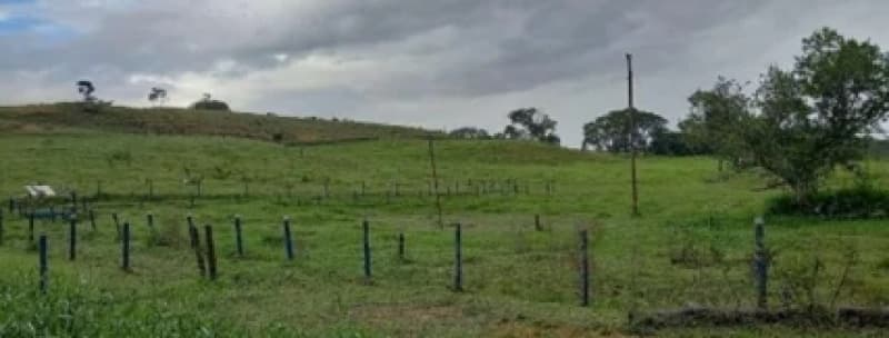 Area Rural em leilão em Patos De Minas - MG — LOTE 001 IMÓVEL RURAL NO DISTRITO DE LAGOA FORMOSA/MG