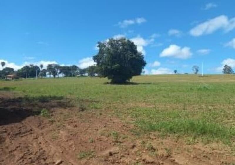 Area Rural em leilão em Patos De Minas - MG — LOTE 002 IMÓVEL RURAL NO DISTRITO DE MONJOLINHO/MG