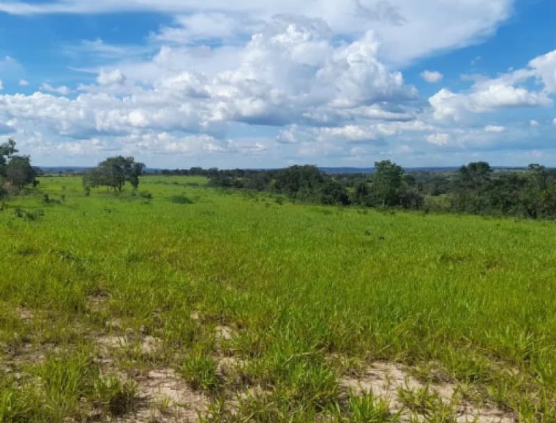 Area Rural em leilão em Presidente Olegário - MG — LOTE 001 IMÓVEL RURAL COM 04,78,48 HECTARES EM PRESIDENTE OLEGÁRIO/MG