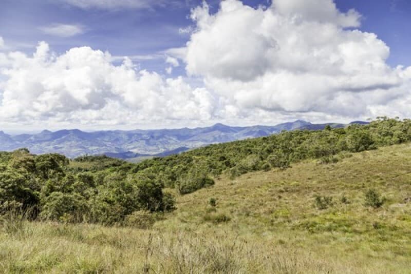 Area Rural em leilão em Nova Roma - GO — LOTE 001 IMÓVEL RURAL COM ÁREA DE 153,33,00 HECTARES EM NOVA ROMA/GO