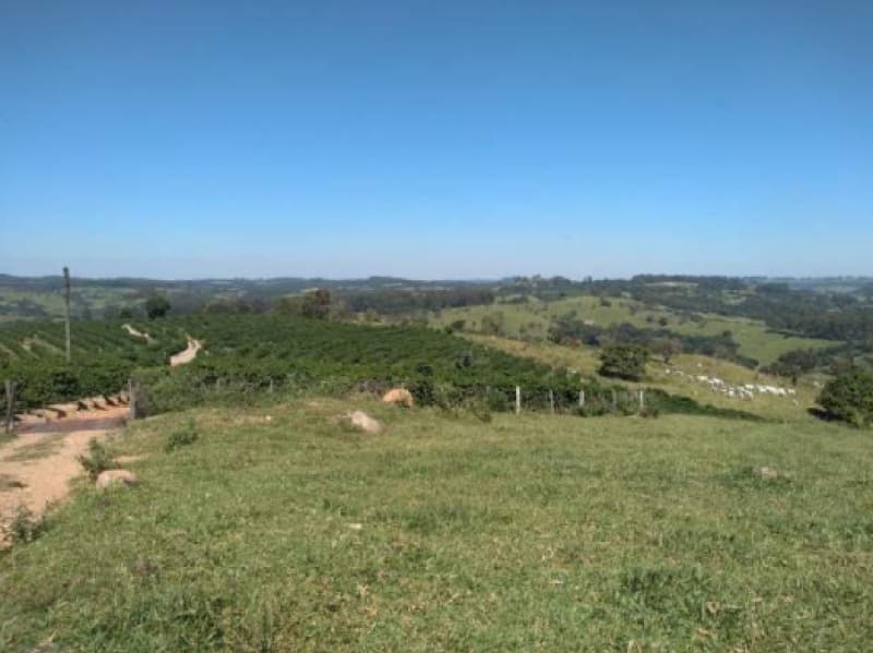 Foto 6 de 6: Area Rural em leilão em Fortaleza De Minas - MG — LOTE 001 IMÓVEL RURAL EM FORTALEZA DE MINAS COM 65,30,79 HA