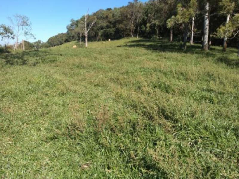Foto 1 de 6: Area Rural em leilão em Fortaleza De Minas - MG — LOTE 001 IMÓVEL RURAL EM FORTALEZA DE MINAS COM 65,30,79 HA
