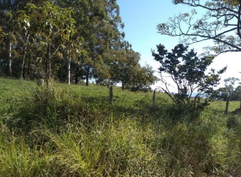 Foto 2 de 6: Area Rural em leilão em Fortaleza De Minas - MG — LOTE 001 IMÓVEL RURAL EM FORTALEZA DE MINAS COM 65,30,79 HA