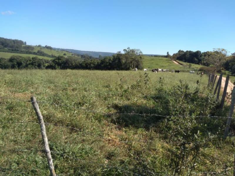 Foto 5 de 6: Area Rural em leilão em Fortaleza De Minas - MG — LOTE 001 IMÓVEL RURAL EM FORTALEZA DE MINAS COM 65,30,79 HA