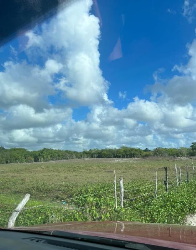 Area Rural em leilão em Paracuru - CE — LOTE 065 CE - PARACURU