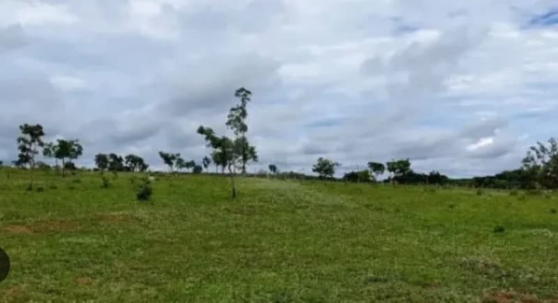 Area Rural em leilão em Cabeceira Grande - MG — LOTE 001 IMÓVEL RURAL EM CABECEIRA GRANDE/MG