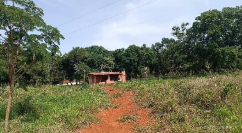 Foto 3 de 9: Area Rural em leilão em Patos De Minas - MG — LOTE 002-1 FRAÇÃO DE 25% DE UM IMÓVEL RURAL SITUADO NA FAZENDA MATA BURROS NO MUNICÍPIO DE PATOS DE