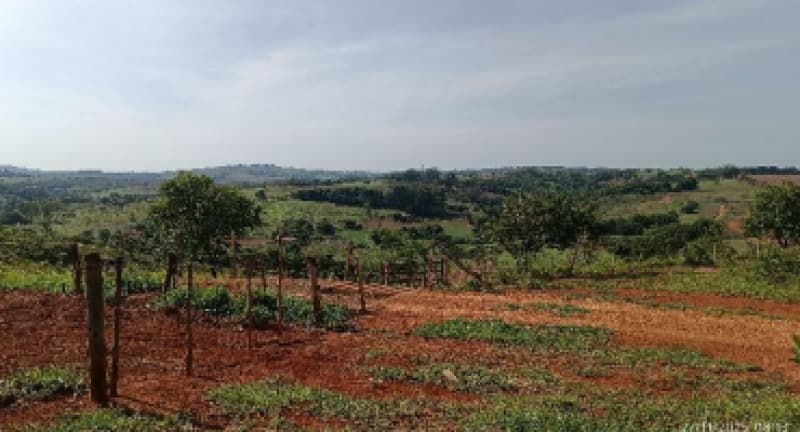 Foto 4 de 9: Area Rural em leilão em Patos De Minas - MG — LOTE 002-2 FRAÇÃO DE 25% DE UM IMÓVEL RURAL SITUADO NA FAZENDA MATA BURROS NO MUNICÍPIO DE PATOS DE