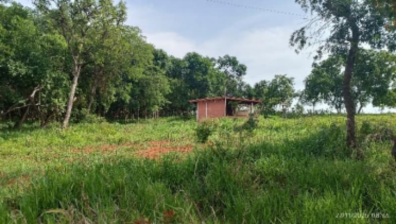Foto 2 de 9: Area Rural em leilão em Patos De Minas - MG — LOTE 002-1 FRAÇÃO DE 25% DE UM IMÓVEL RURAL SITUADO NA FAZENDA MATA BURROS NO MUNICÍPIO DE PATOS DE