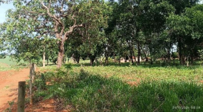 Foto 4 de 9: Area Rural em leilão em Patos De Minas - MG — LOTE 002-1 FRAÇÃO DE 25% DE UM IMÓVEL RURAL SITUADO NA FAZENDA MATA BURROS NO MUNICÍPIO DE PATOS DE