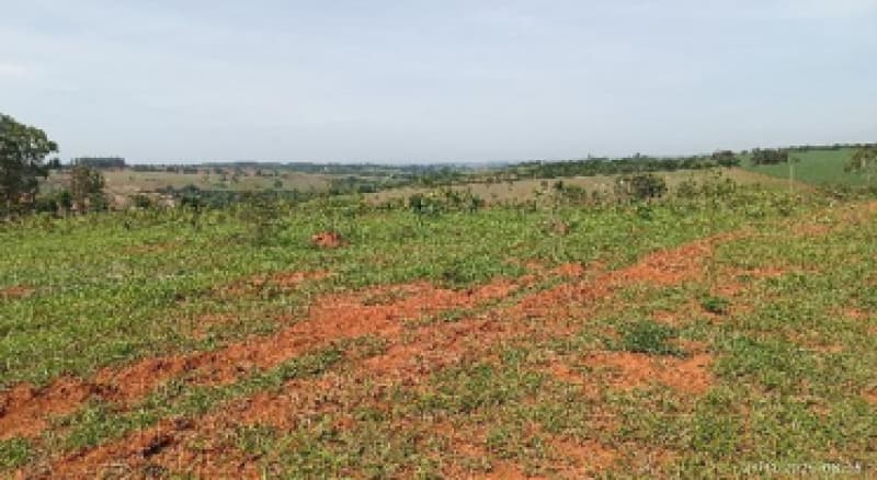 Foto 5 de 9: Area Rural em leilão em Patos De Minas - MG — LOTE 002-1 FRAÇÃO DE 25% DE UM IMÓVEL RURAL SITUADO NA FAZENDA MATA BURROS NO MUNICÍPIO DE PATOS DE