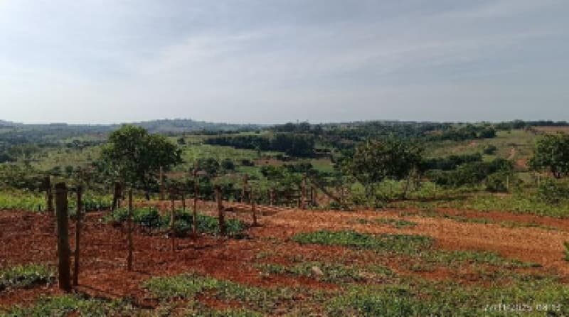Foto 6 de 9: Area Rural em leilão em Patos De Minas - MG — LOTE 002-1 FRAÇÃO DE 25% DE UM IMÓVEL RURAL SITUADO NA FAZENDA MATA BURROS NO MUNICÍPIO DE PATOS DE