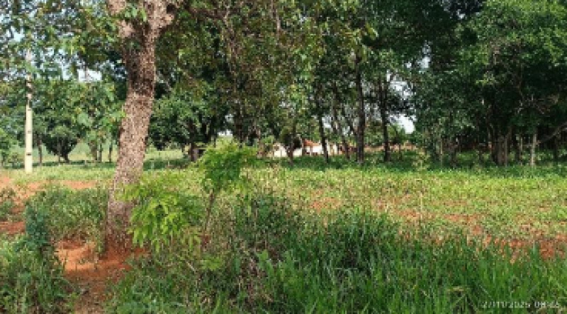 Foto 7 de 9: Area Rural em leilão em Patos De Minas - MG — LOTE 002-1 FRAÇÃO DE 25% DE UM IMÓVEL RURAL SITUADO NA FAZENDA MATA BURROS NO MUNICÍPIO DE PATOS DE