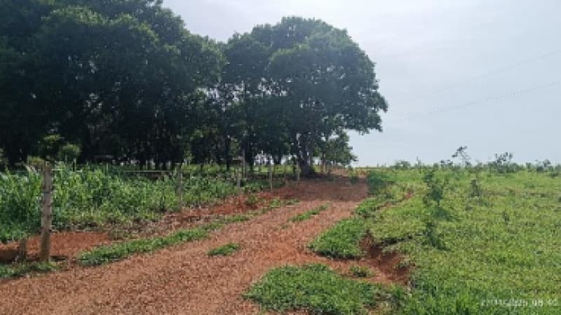 Foto 8 de 9: Area Rural em leilão em Patos De Minas - MG — LOTE 002-1 FRAÇÃO DE 25% DE UM IMÓVEL RURAL SITUADO NA FAZENDA MATA BURROS NO MUNICÍPIO DE PATOS DE