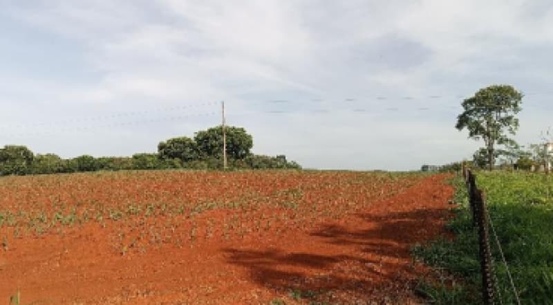 Foto 1 de 9: Area Rural em leilão em Patos De Minas - MG — LOTE 002-2 FRAÇÃO DE 25% DE UM IMÓVEL RURAL SITUADO NA FAZENDA MATA BURROS NO MUNICÍPIO DE PATOS DE