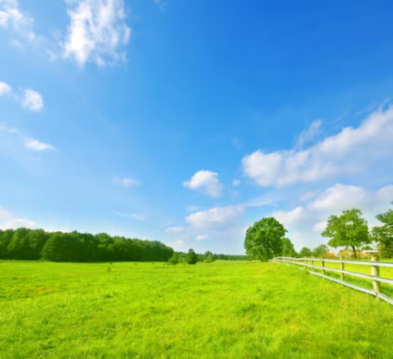 Area Rural em leilão em Presidente Olegário - MG — LOTE 003 63,55,62 HECTARES DA FAZENDA SALITRE EM PRESIDENTE OLEGÁRIO/MG