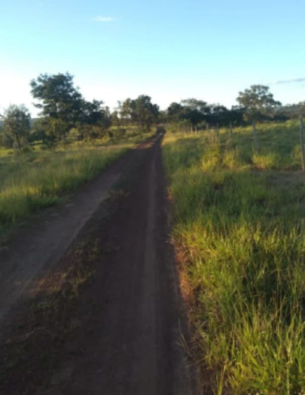 Area Rural em leilão em Presidente Olegário - MG — LOTE 003 FRAÇÃO DE 50% DE UM IMÓVEL RURAL SITUADO NA FAZENDA PRATA DOS NETOS EM PRESIDENTE OLEGÁRIO/