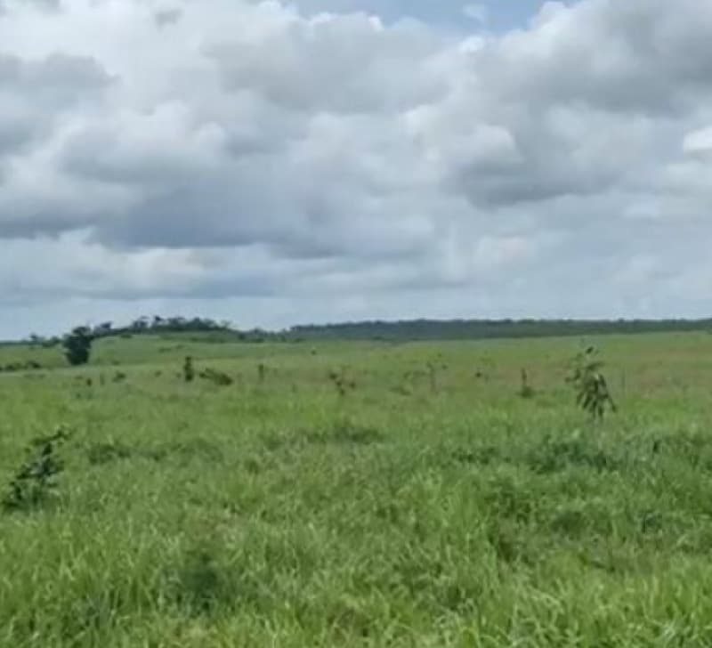 Area Rural em leilão em Andradas - MG, bairro Bairro do Óleo — LOTE 001 50% DE UMA GLEBA DE TERRAS EM ANDRADAS