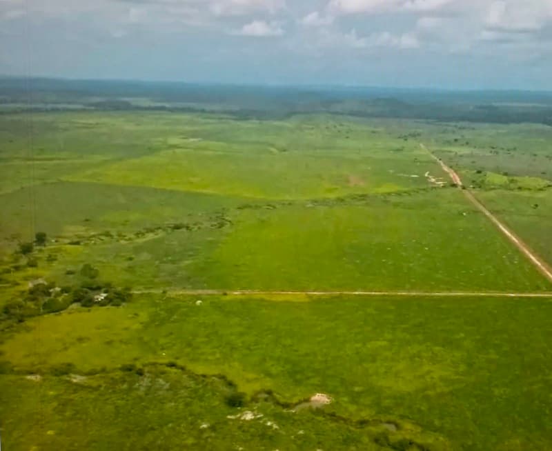 Area Rural em leilão em Lagoa Grande - MG — LOTE 001 EXCELENTE IMÓVEL RURAL EM LAGOA GRANDE/MG (116,46 HA)