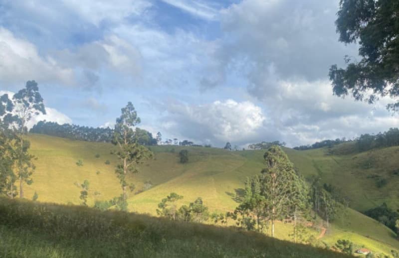 Terreno em leilão em Camanducaia - MG, bairro Fazenda Velha — LOTE 001-2 UM TERRENO RURAL EM CAMANDUCAIA/MG