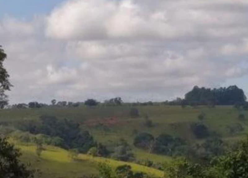 Area Rural em leilão em Lagamar - MG, bairro Cruzeiro — LOTE 001 IMÓVEL RURAL NA FAZENDA SÃO BRAZ EM LAGAMAR/MG