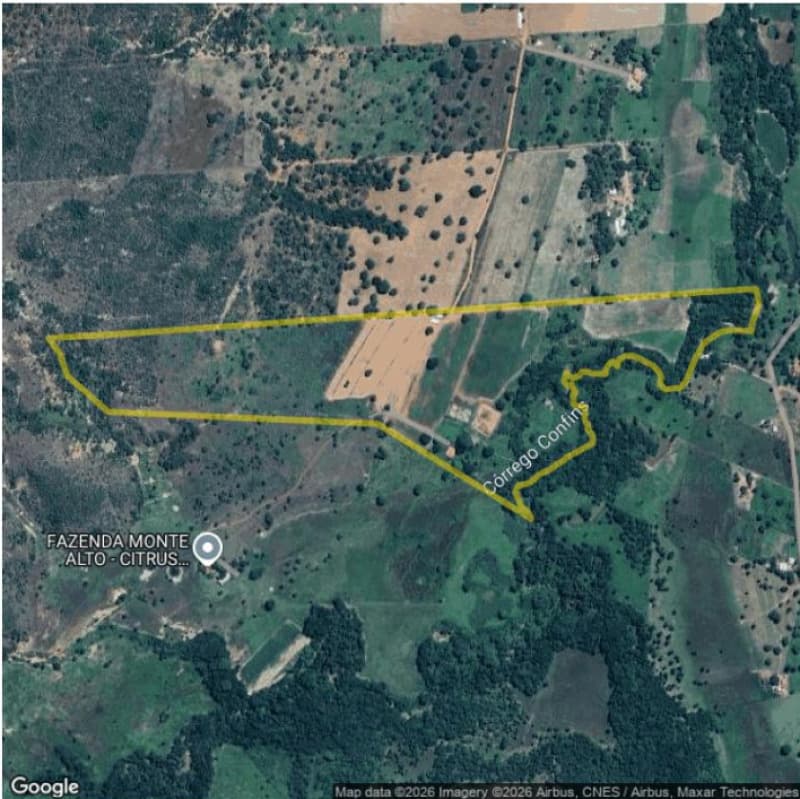 Foto 1 de 2: Area Rural em leilão em Buritis - MG — LOTE 001 24 HECTARES DE TERRAS EM BURITIS/MG
