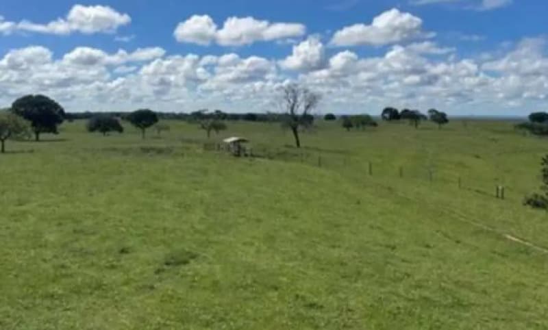 Area Rural em leilão em São Gonçalo Do Abaeté - MG — LOTE 001 43,41 HECTARES EM SÃO GONÇALO DO ABAETÉ/MG