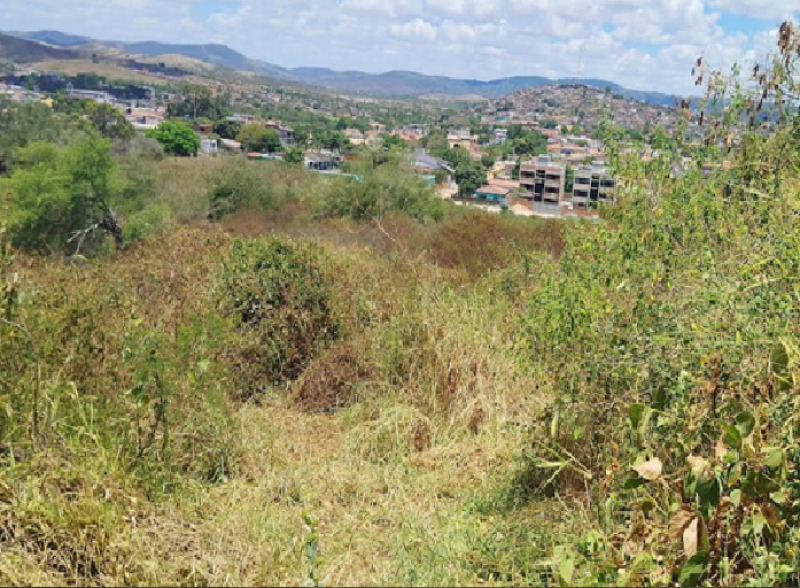 Foto 1 de 2: Terreno em leilão em Timbaúba - PE — LOTE 001 Lote em Venda Direta