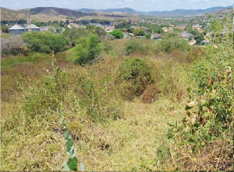 Foto 2 de 2: Terreno em leilão em Timbaúba - PE — LOTE 001 Lote em Venda Direta