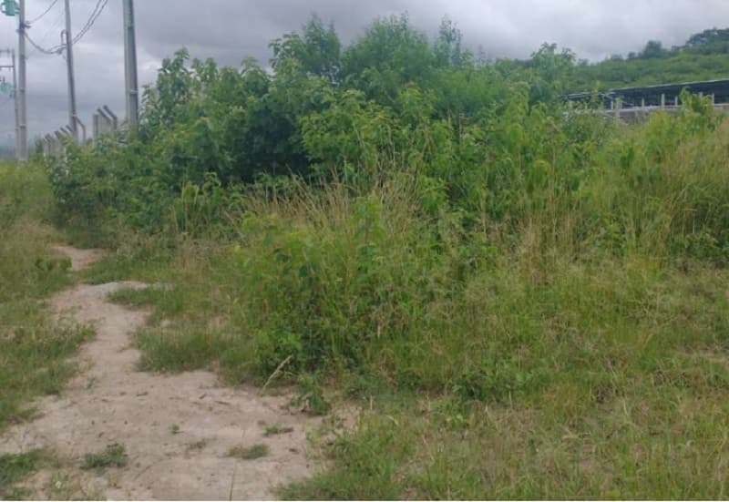 Terreno em leilão em Caruaru - PE, bairro Santa Rosa — LOTE 001 Lote em Venda Direta