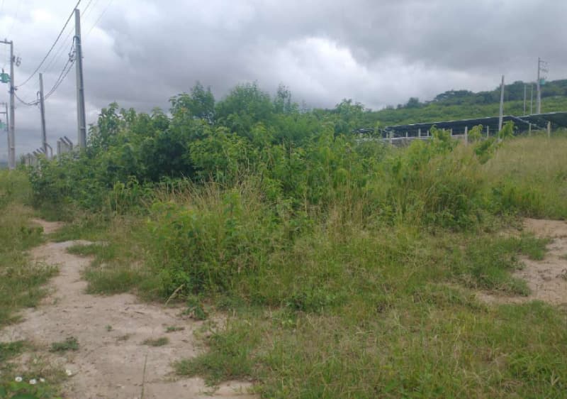 Terreno em leilão em Caruaru - PE, bairro Santa Rosa — LOTE 001 LOTE EM VENDA DIRETA