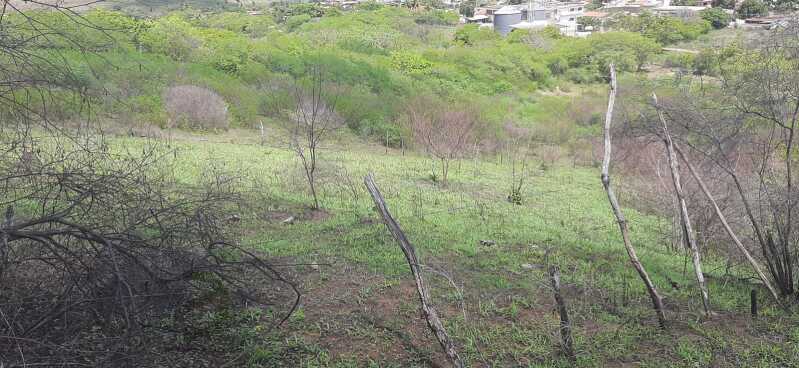 Foto 2 de 5: Terreno em leilão em Timbaúba - PE — LOTE 013 LOTE