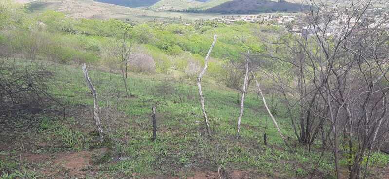 Foto 4 de 5: Terreno em leilão em Timbaúba - PE — LOTE 013 LOTE