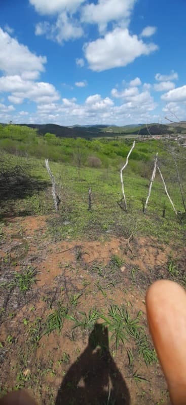 Foto 5 de 5: Terreno em leilão em Timbaúba - PE — LOTE 013 LOTE