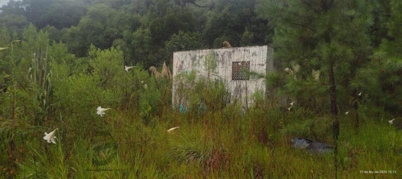 Foto 2 de 3: Terreno em leilão em Vargem Bonita - SC — LOTE 003 Terrenos