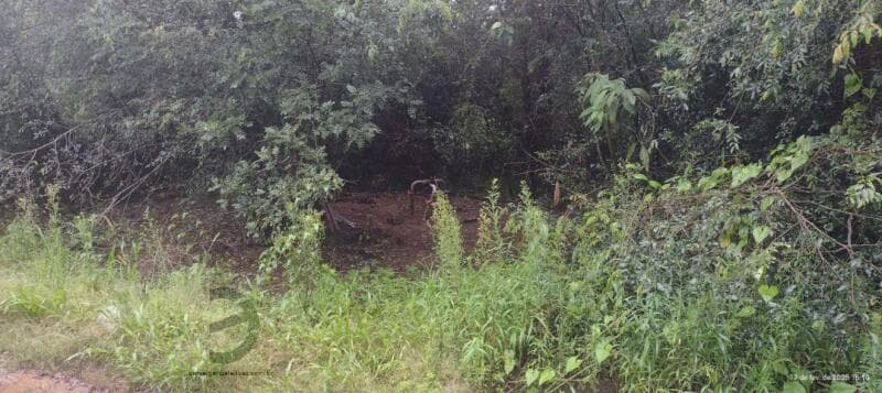 Foto 3 de 3: Terreno em leilão em Vargem Bonita - SC — LOTE 003 Terrenos
