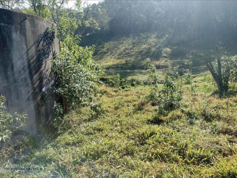 Foto 1 de 8: Terreno em leilão em Nova Veneza - SC — LOTE 008 Terreno Rural