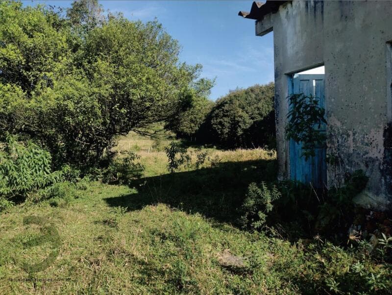 Foto 4 de 8: Terreno em leilão em Nova Veneza - SC — LOTE 008 Terreno Rural