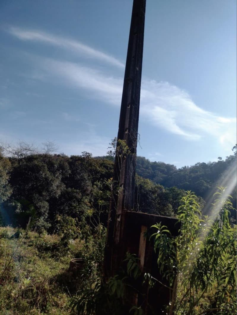 Foto 5 de 8: Terreno em leilão em Nova Veneza - SC — LOTE 008 Terreno Rural