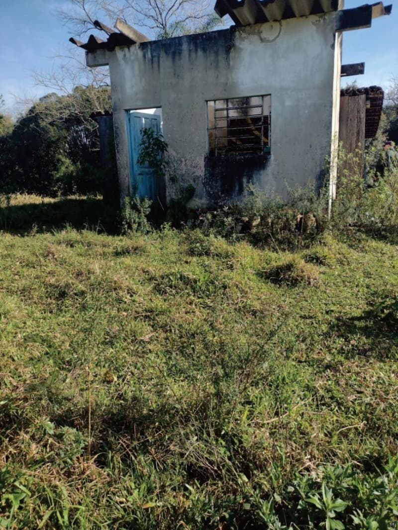 Foto 8 de 8: Terreno em leilão em Nova Veneza - SC — LOTE 008 Terreno Rural