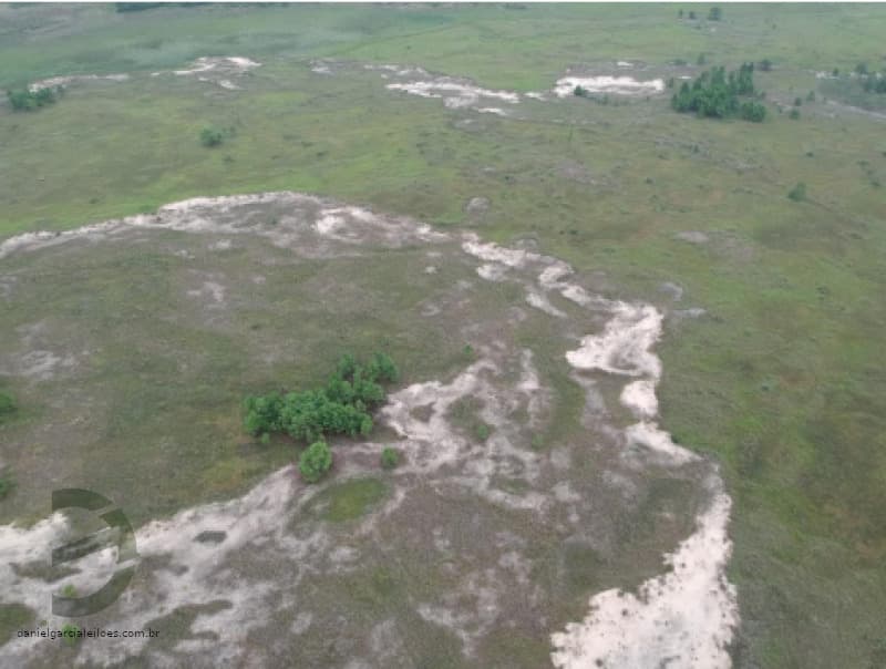 Foto 5 de 5: Terreno em leilão em Balneário Arroio Do Silva - SC — LOTE 001 Terreno