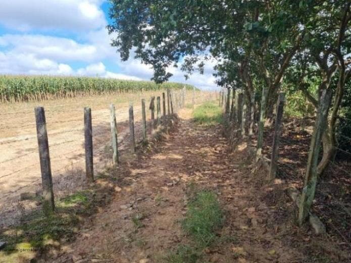 Foto 2 de 13: Terreno em leilão em Criciúma - SC — LOTE 005 Terreno