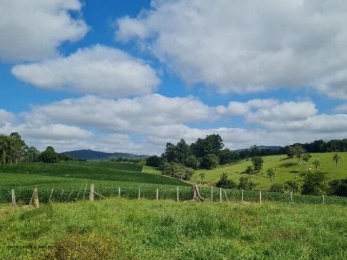 Foto 3 de 13: Terreno em leilão em Criciúma - SC — LOTE 005 Terreno