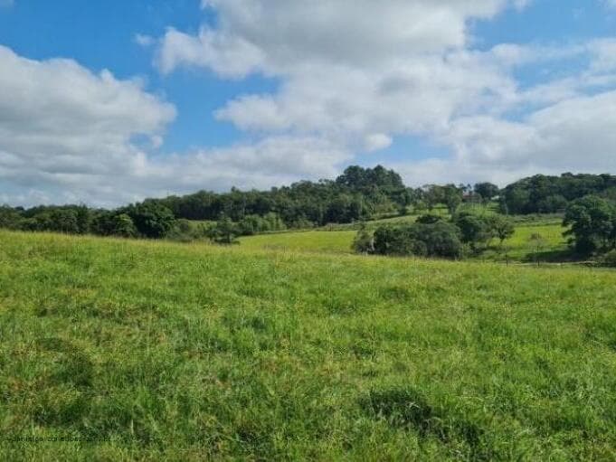 Foto 4 de 13: Terreno em leilão em Criciúma - SC — LOTE 005 Terreno
