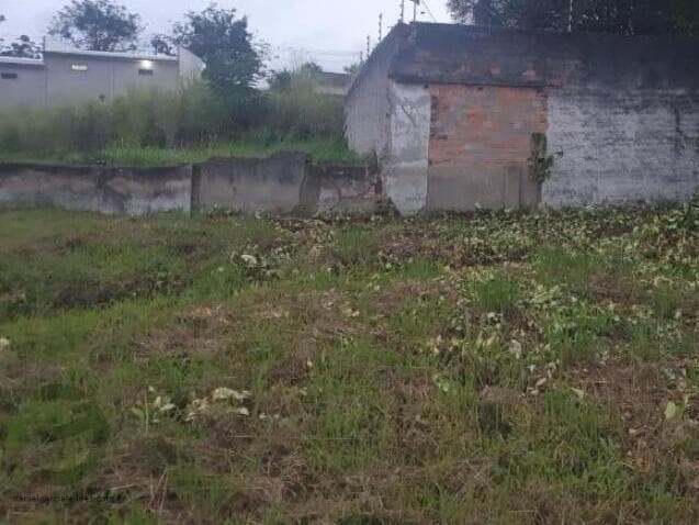 Foto 4 de 8: Terreno em leilão em Içara - SC — LOTE 008 Terreno