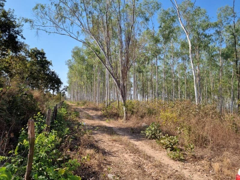 Foto 3 de 6: Terreno em leilão em Várzea Grande - MT — LOTE 001 Imóvel