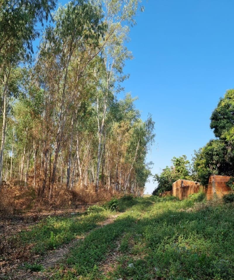 Foto 5 de 6: Terreno em leilão em Várzea Grande - MT — LOTE 001 Imóvel